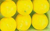 Lemons (Lamai),  500gr