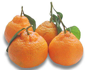 Mandarines (Mandarine), 2.2lb (1kg)
