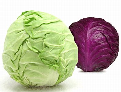 Cabbage (Varza alba), 4.4lb (2kg)