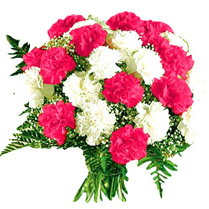9 Carnation Bouquet