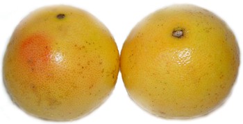 Grapefruits (Grefuit), 2.2lb (1kg)