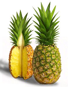 Pineapple (Ananas), 2.2lb (1kg)