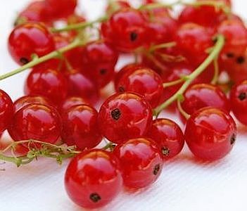 Red Currant (Coacaze rosii), 0.5lb (125g)