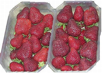 Strawberries (Capsuni), 0.55lb (250g)